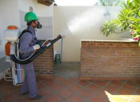 /album/algunas-fotos/fumigacion-foto-2-jpg/